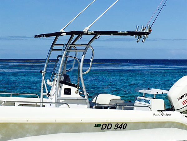 Förderung! Dolphin Pro2 Center – Fishing Rod Boat Bewertung und Preis